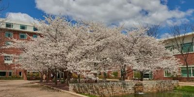 The Penn Stater Hotel & Conference Center