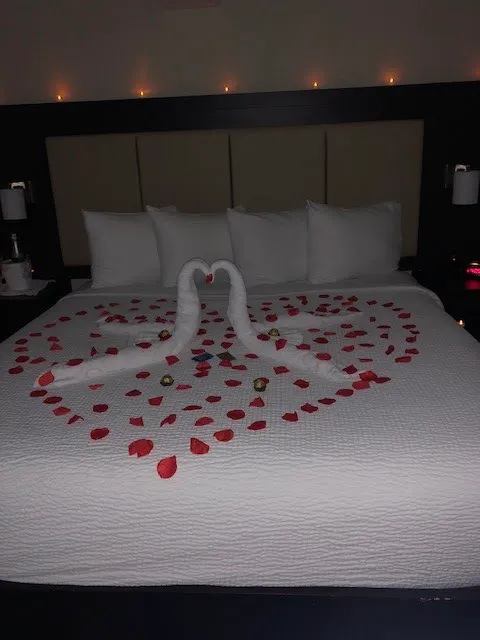 The Inn on Storrs 5