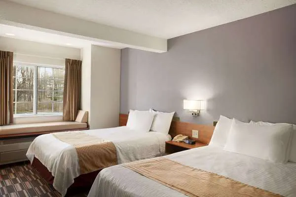 Microtel Inn by Wyndham Albany Airport 4