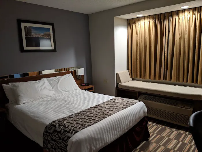 Microtel Inn by Wyndham Albany Airport 4