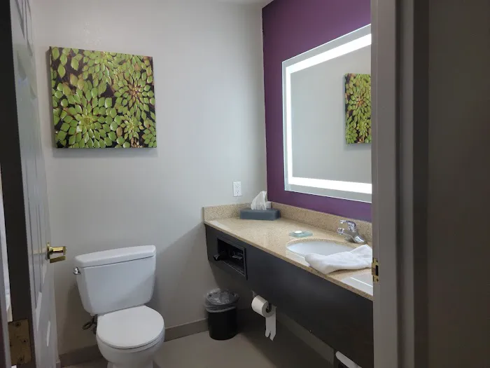 La Quinta Inn & Suites by Wyndham Latham Albany Airport 4