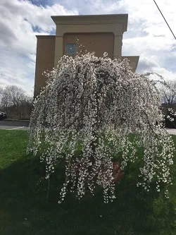 Hampton Inn & Suites Greenfield 4