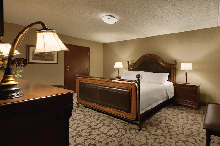 Hilton Garden Inn Rochester/Pittsford 4