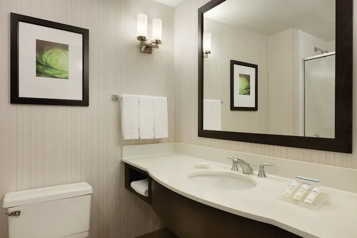 Hilton Garden Inn Rochester/Pittsford 4