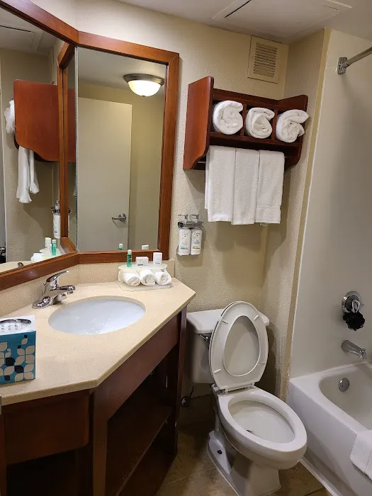 Holiday Inn Express Rochester - University Area 4