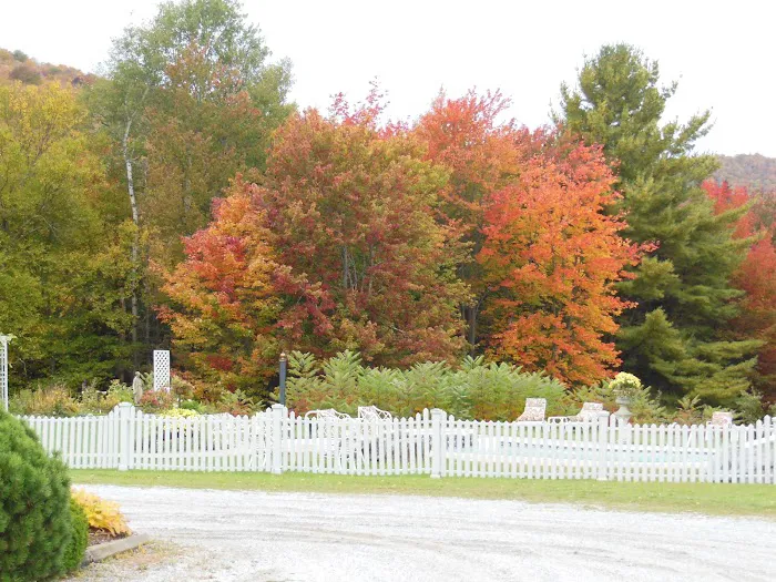 Greenbrier Inn 5