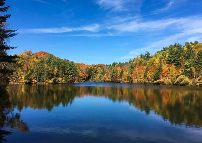 Mountain Meadows Lodge 5