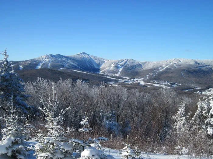 Mountain Sports Inn 5