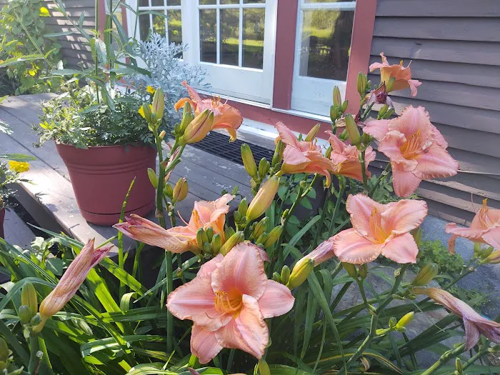 The Swanson Inn of Vermont 4