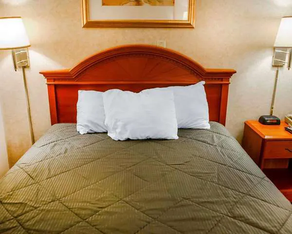 Rodeway Inn 4