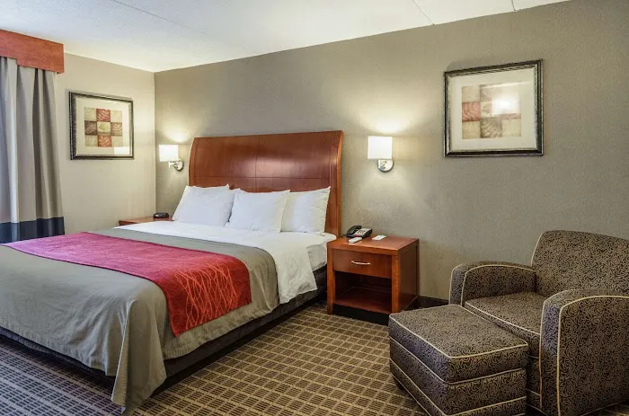Comfort Inn & Suites 4
