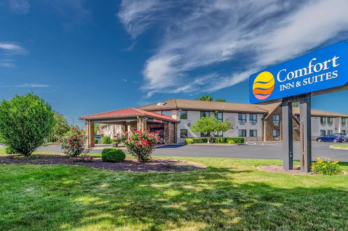 Comfort Inn & Suites 4