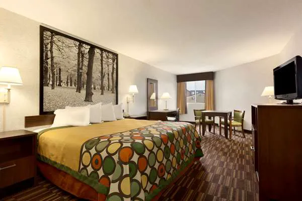 Super 8 by Wyndham West Springfield/Route 5 4