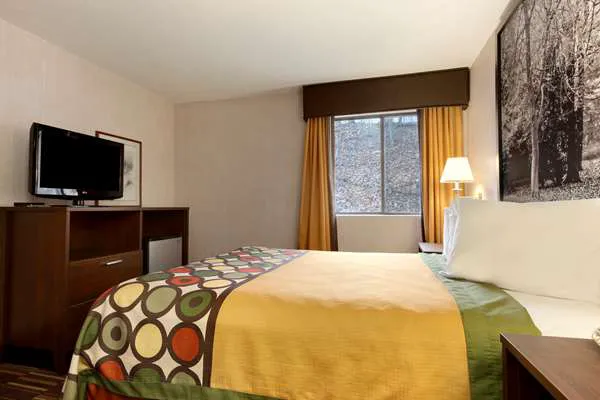 Super 8 by Wyndham West Springfield/Route 5 4