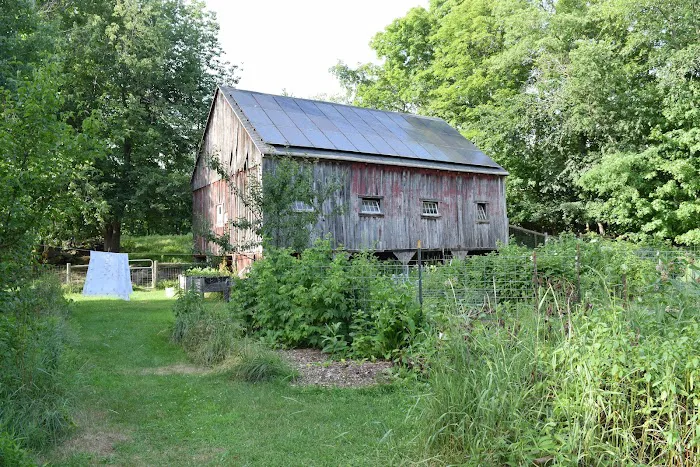 Henrietta House Bed and Breakfast 4
