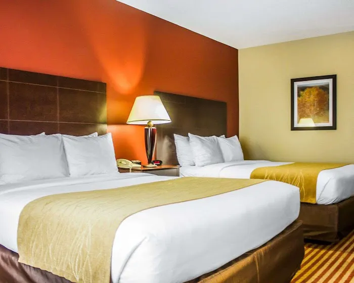 Comfort Inn & Suites 5