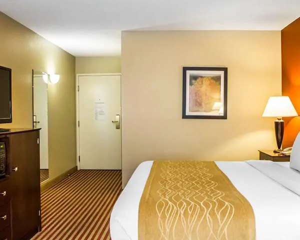 Comfort Inn & Suites 5