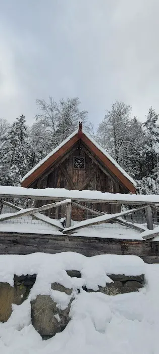 Vikings Villages Resort LLC 4