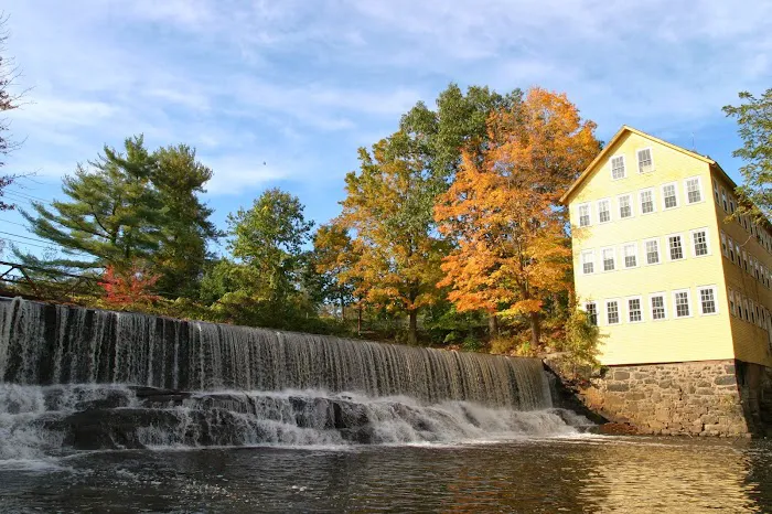 The Old Mill Inn 5