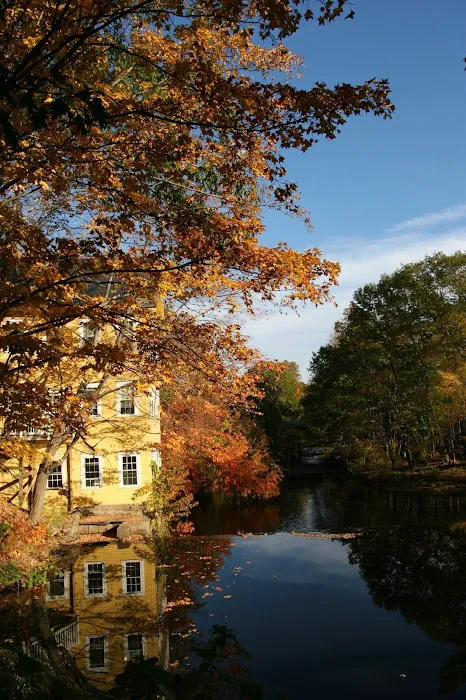 The Old Mill Inn 5
