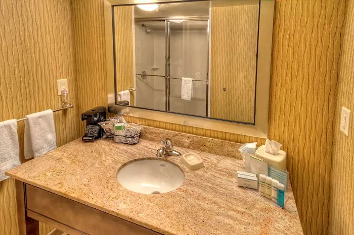 Hampton Inn & Suites Rochester/Henrietta 4