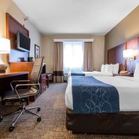 Comfort Suites Rochester Henrietta University Area ico