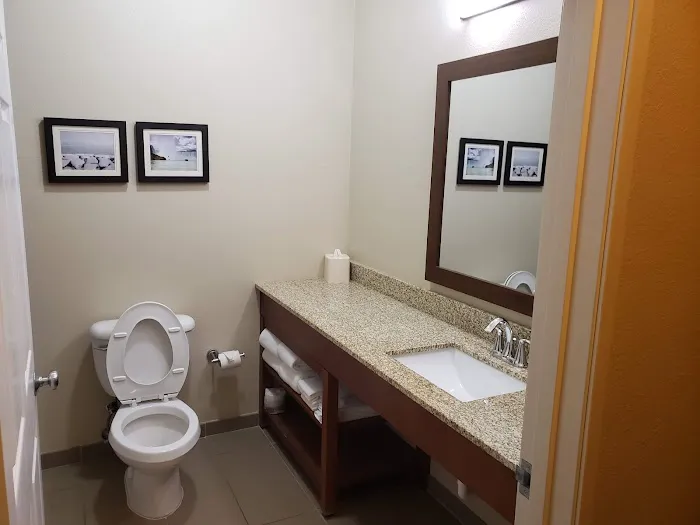 Comfort Suites Rochester Henrietta University Area 4