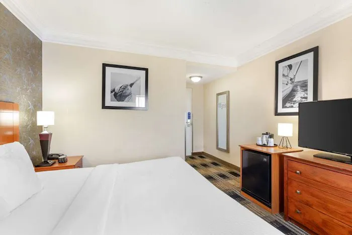 Best Western The Inn at Rochester Airport 4