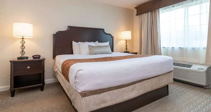 Best Western Plus Vineyard Inn & Suites 4