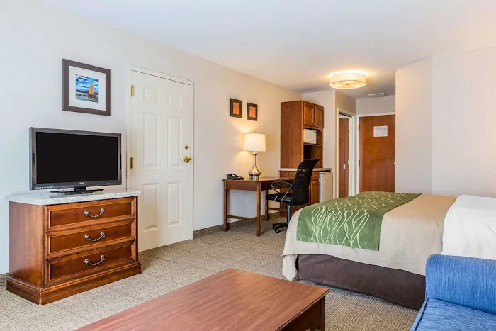Comfort Inn & Suites 4