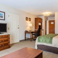 Comfort Inn & Suites ico