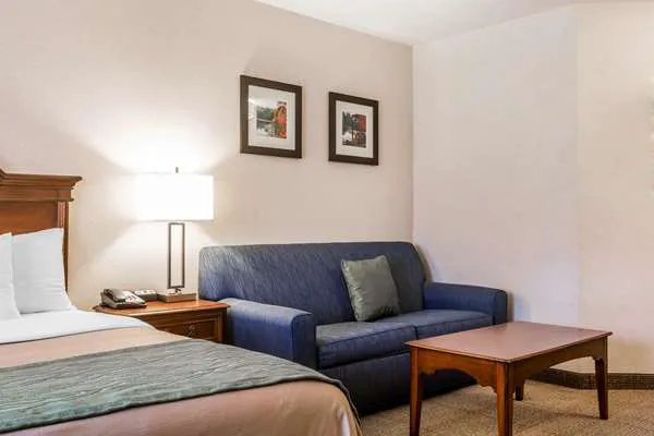Comfort Inn & Suites 4