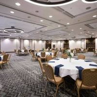 Delta Hotels Burlington ico