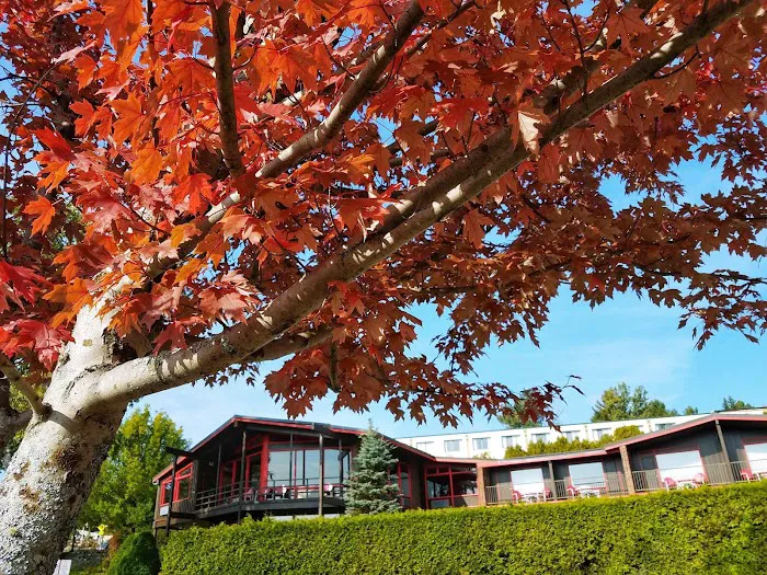 Lake House at High Peaks Resort 4