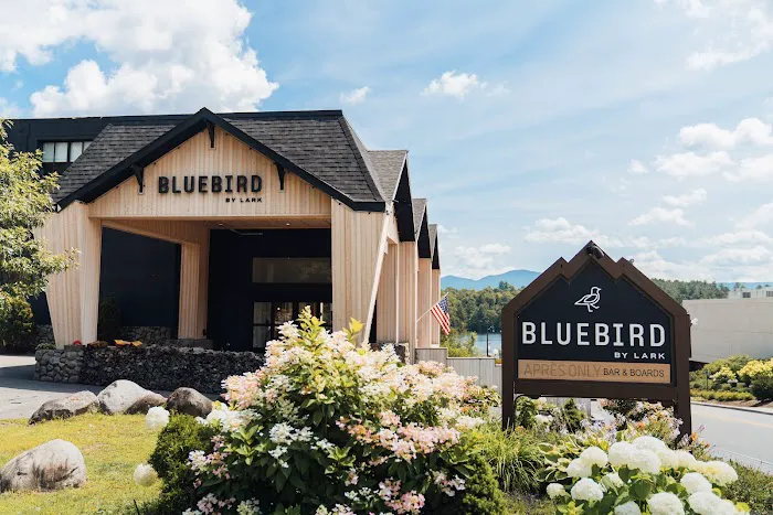 Bluebird Lake Placid 4