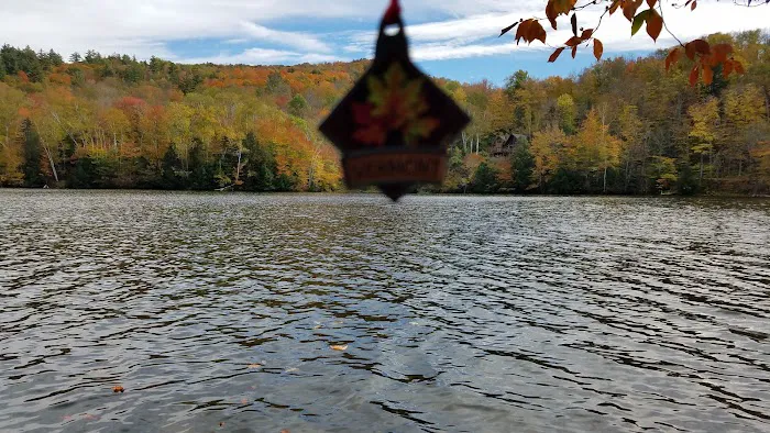 Kurtz Lake Cottage 4