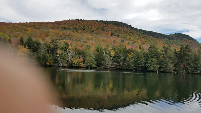 Kurtz Lake Cottage 4