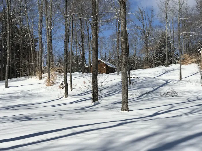 Birch Meadow Luxury Log Cabins 4