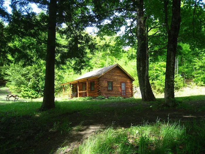 Birch Meadow Luxury Log Cabins 4