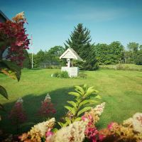 Birch Meadow Luxury Log Cabins ico