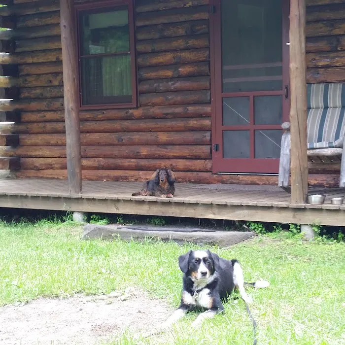 Birch Meadow Luxury Log Cabins 4