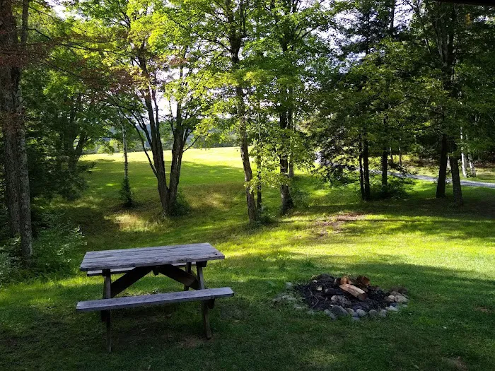 Birch Meadow Luxury Log Cabins 4