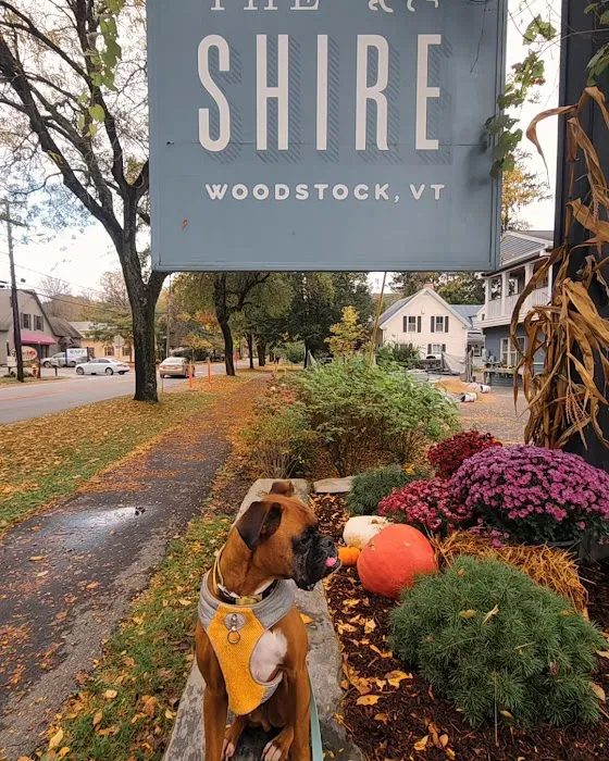 The Shire Woodstock 5