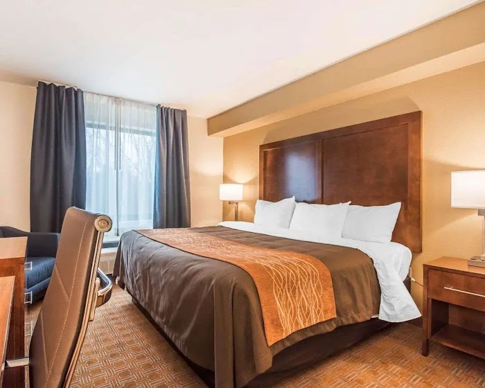 Comfort Inn & Suites Brattleboro I-91 5
