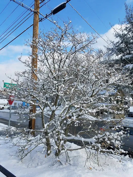 Locust Lane 5