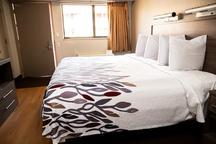 Red Roof Inn Rochester - Henrietta 4