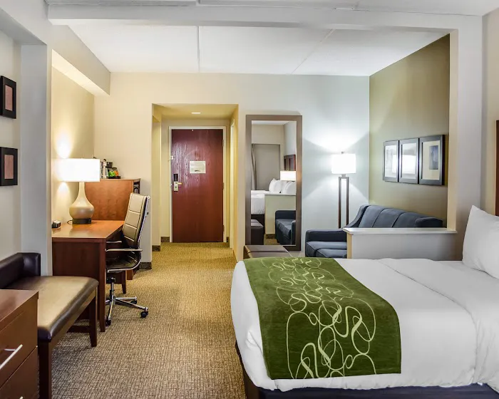 Comfort Suites Downtown Carlisle 4
