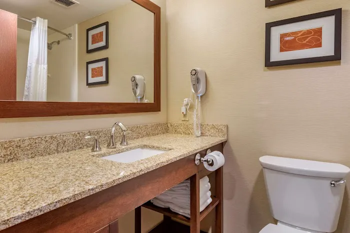 Comfort Suites Downtown Carlisle 4
