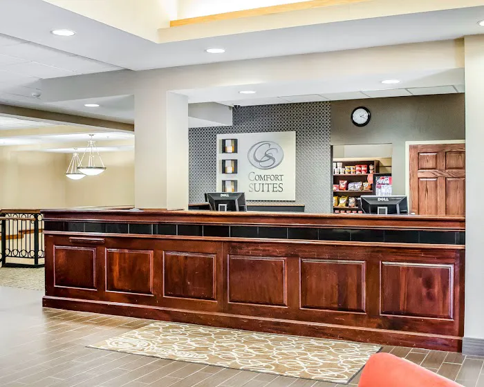 Comfort Suites Downtown Carlisle 4