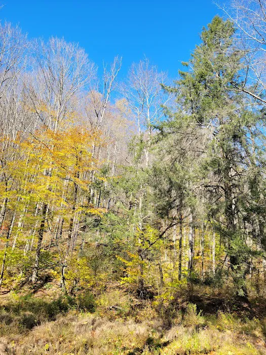 Kettle Creek Lodge & Cabins 4